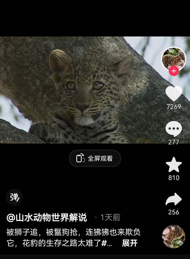 131241tuve38if9zl7l0i9.jpg 131241tuve38if9zl7l0i9.jpg