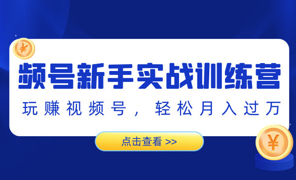 视频号新手实战训练营，玩赚视频号，轻松月入过万