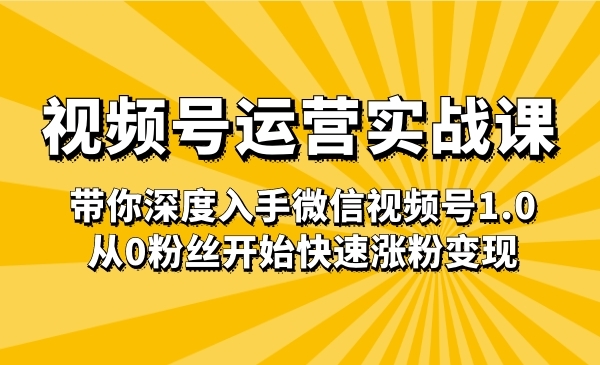 视频号运营实战课，带你深度入手微信视频号1.0，从0粉丝开始快速张fen变现