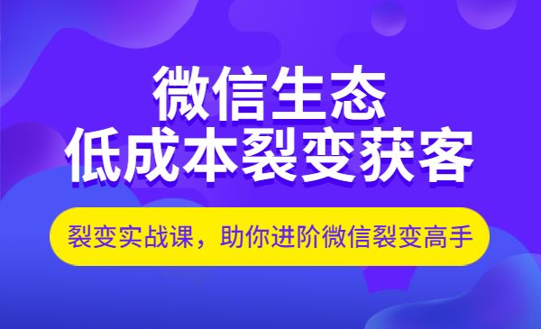 微信生态如何低成本裂变获客:25节裂变实战课,助你进阶微信裂变高手_wwz