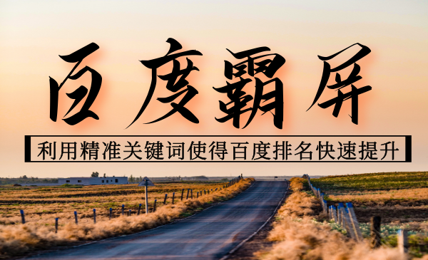 百度霸屏引liu课:利用精准关键词使得百度排名快速提升_wwz