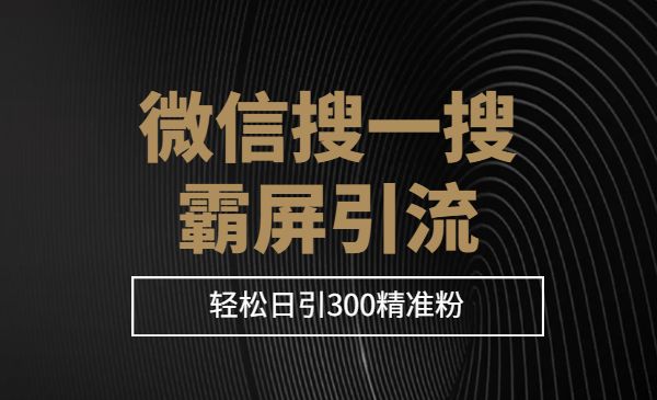 微信搜一搜霸屏引流课,被动精准引流,轻松日引300精准粉_wwz
