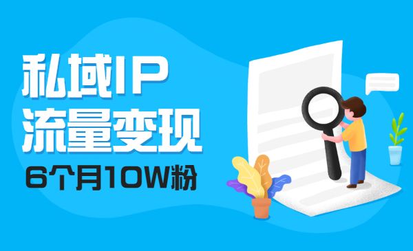 私域IP流量变现视频课,6个月10W粉_wwz