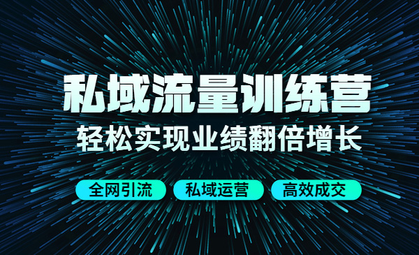 私域流量训练营:全网引liu 私域运营 高效成交_wwz