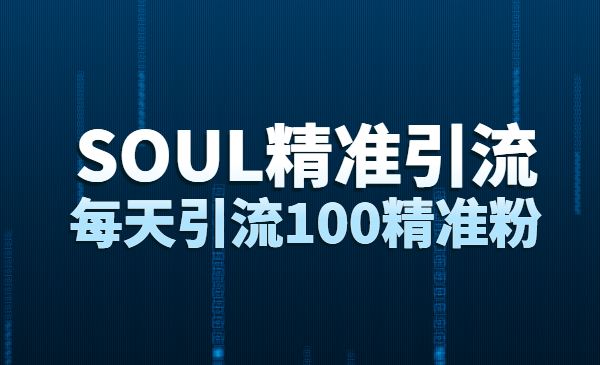 soul精准引流系列课程,每天引流100精准粉_wwz