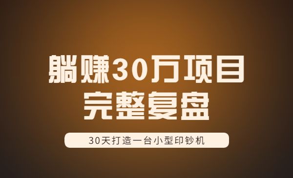 30天打造一台小型印钞机:躺赚30万的项目完整复盘_wwz