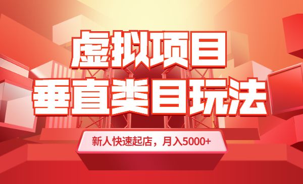 虚拟项目垂直类目玩法，新人快速起店，月入5000+