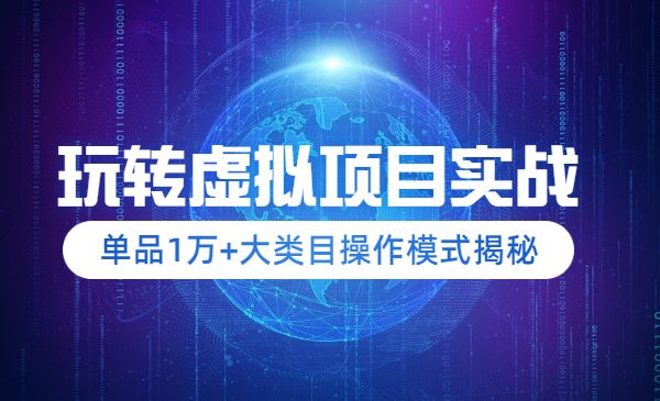 玩转虚拟项目实战,单品1万+大类目操作模式揭秘_wwz