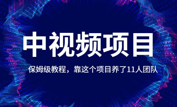 中视频计划项目，保姆级教程，靠这个项目养了11人团队