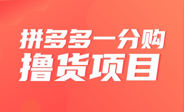 拼多多一分购撸货项目