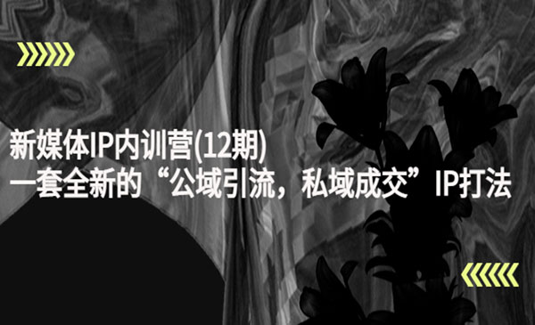 新媒体IP内训营，一套全新的“公域引流，私域成交”IP打法，直接带走
