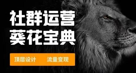 赚钱社群系统运营葵花宝典 顶层设计 流量变现_wwz