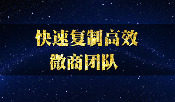 《快速复制高效微商团队》