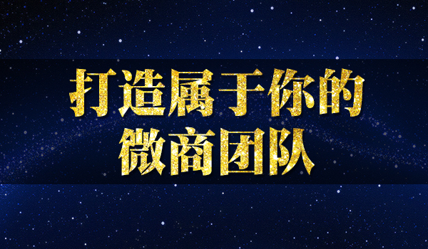 《微商团队打造秘籍》_wwz
