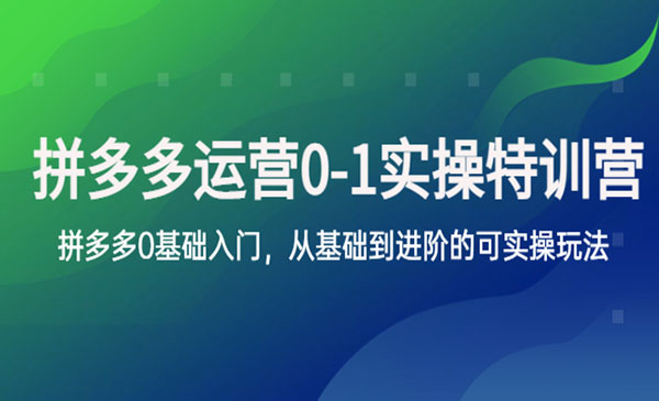 《拼多多0-1实操训练营》拼多多0基础入门，从基础到进阶的可实操玩法