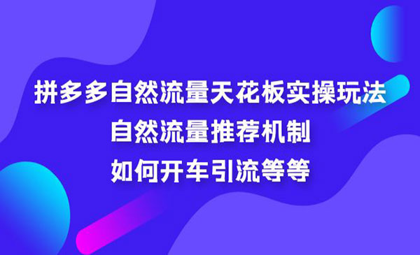 《拼多多自然流量天花板实操玩法》自然流量推荐机制，如何开车引流等等