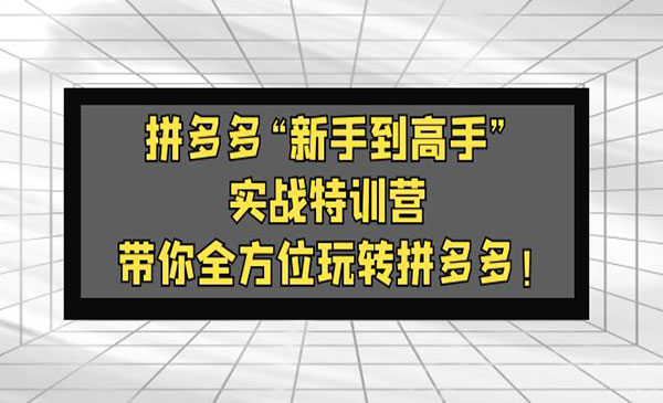 《拼多多新手到高手实战特训营》带你全方位玩转拼多多