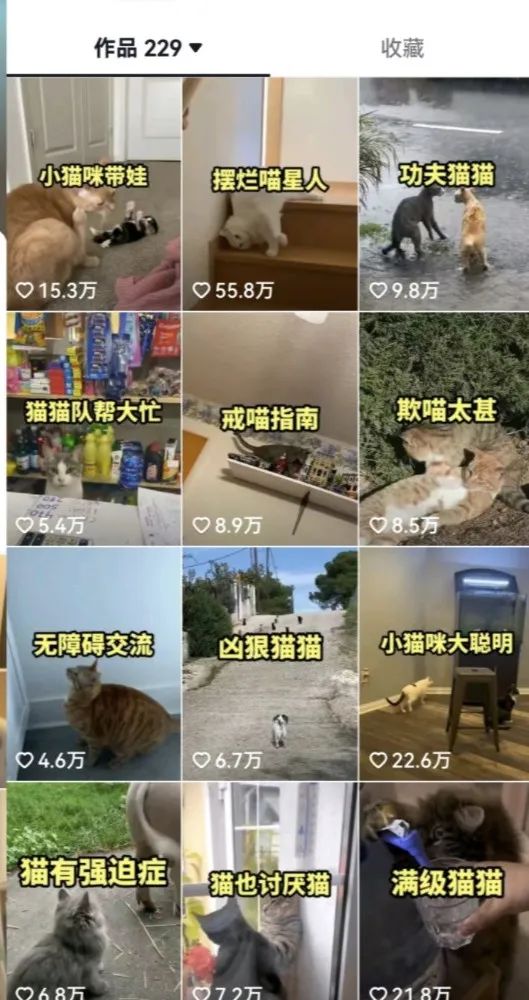 111625mwu41l48buuo5mau.jpg 111625mwu41l48buuo5mau.jpg