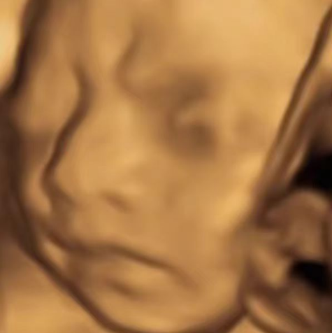 20230909235832-64fd06a879430.png 20230909235832-64fd06a879430.png