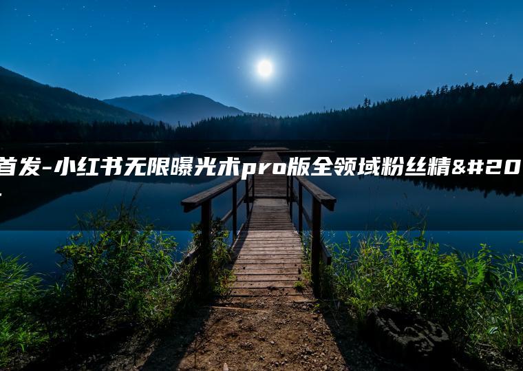 全网首发-小红书无限曝光术pro版全领域粉丝精准拿下