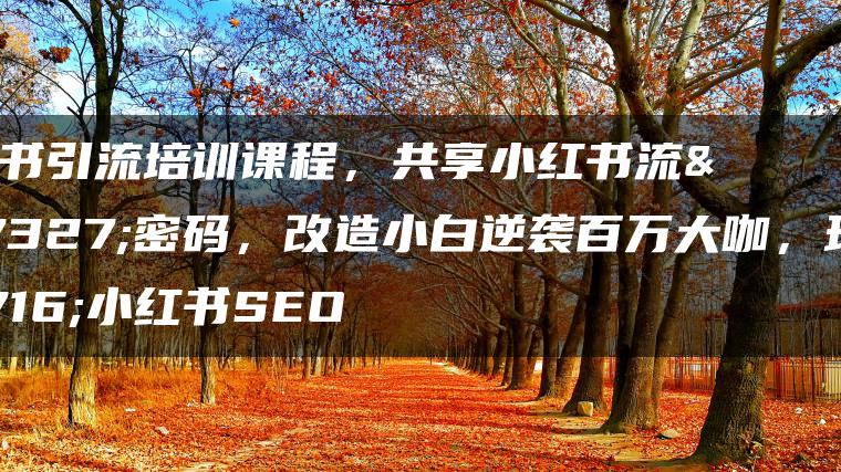 小红书引流培训课程，共享小红书流量密码，改造小白逆袭百万大咖，玩转小红书SEO