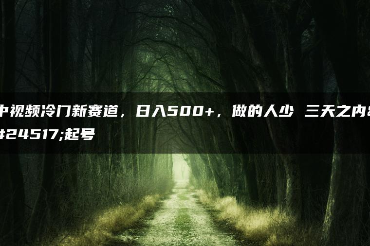 中视频冷门新赛道，日入500+，做的人少 三天之内必起号