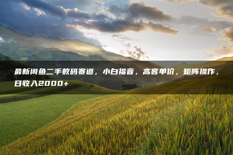 最新闲鱼二手数码赛道，小白福音，高客单价，矩阵操作，日收入2000+