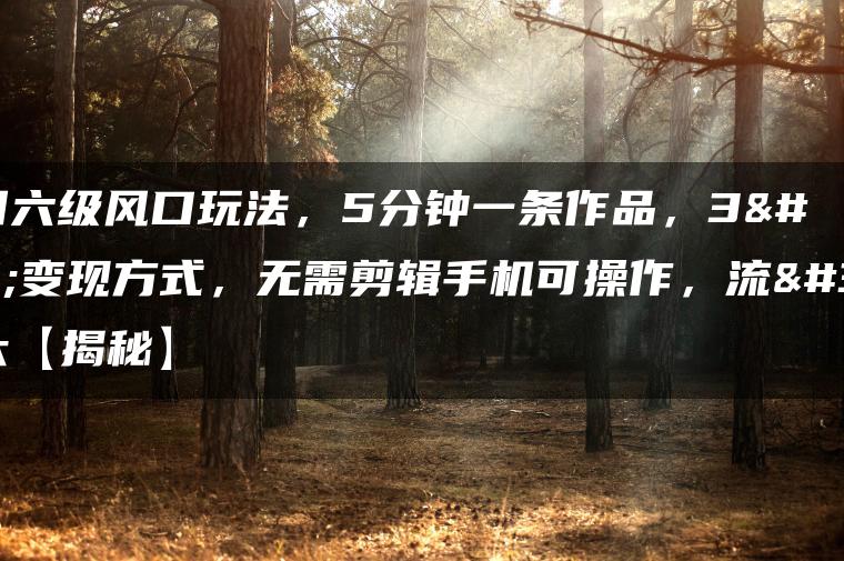 英语四六级风口玩法，5分钟一条作品，3种变现方式，无需剪辑手机可操作，流量巨大【揭秘】