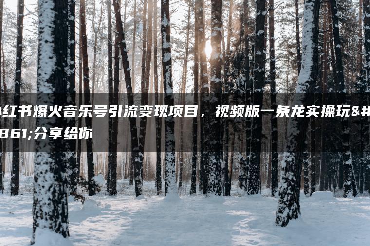 小红书爆火音乐号引流变现项目，视频版一条龙实操玩法分享给你