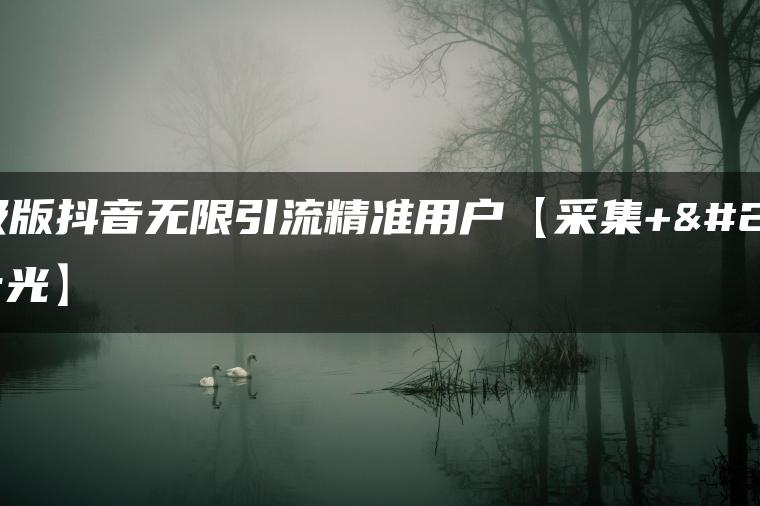 升级版抖音无限引流精准用户【采集+曝光】