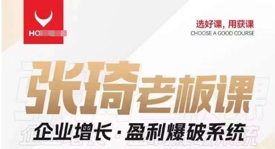 【组合课】张琦张琦老板企业增长·盈利爆破系统