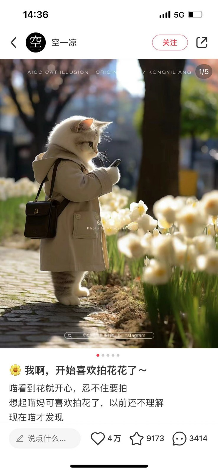 ef16f1f44f20231212210052.jpg ef16f1f44f20231212210052.jpg