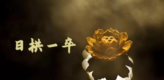 6d6f02b3-2ede-4584-bd64-9191131a8bce.jpg 6d6f02b3-2ede-4584-bd64-9191131a8bce.jpg